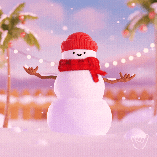 Christmas Time GIF by Good Vibes Club