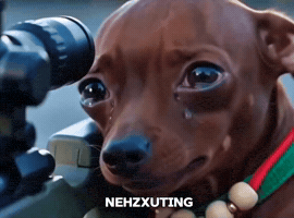 Crying Dog GIF