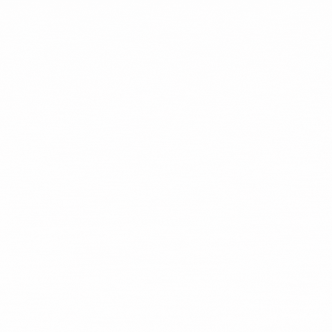 Maxray GIF
