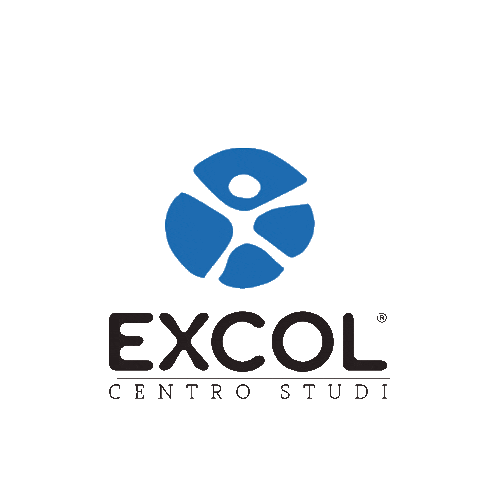 Centro Studi Excol Sticker