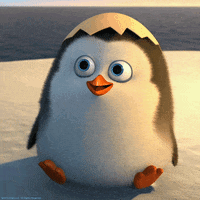 Movie gif. A newly hatched baby Private from Penguins of Madagascar, still wearing the top of his eggshell on his head, gives us a friendly wave.