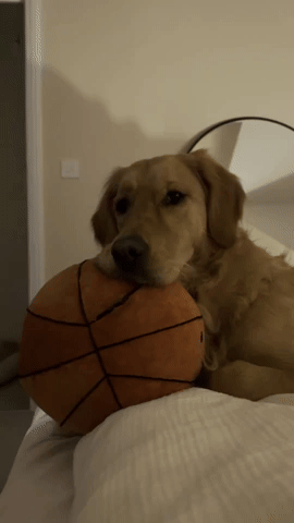 Bored GIF