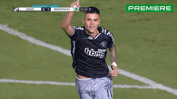 Serie A Vasco GIF by Canal Premiere