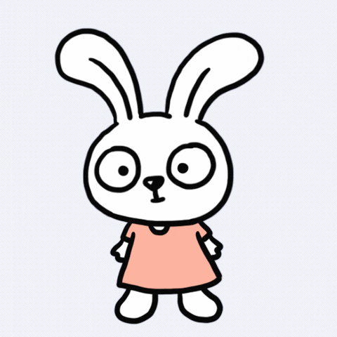 Bunny Omg GIF