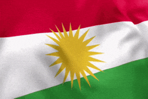 Kurdistan Kurd GIF by Gecko Developments