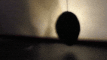 GIF by Carl Knickerbocker