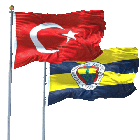 Flag Turk Sticker by Fenerbahçe Voleybol