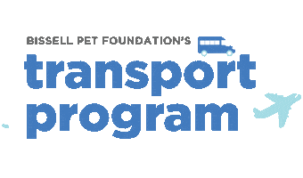 Pets Transport Sticker by BISSELL Pet Foundation