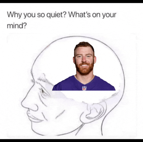 Baltimore Ravens GIF