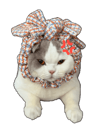 Angry Cat Sticker