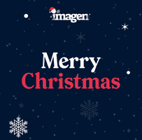 Merry Christmas GIF by Imagen