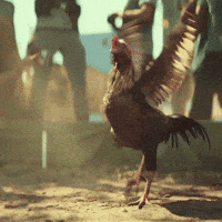 200w.gif