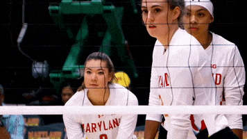University Of Maryland Volleyball GIF by Maryland Terrapins