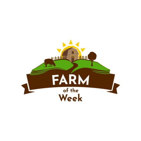 Fooddock USA Sticker