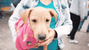 GIF by Cronos Logistics
