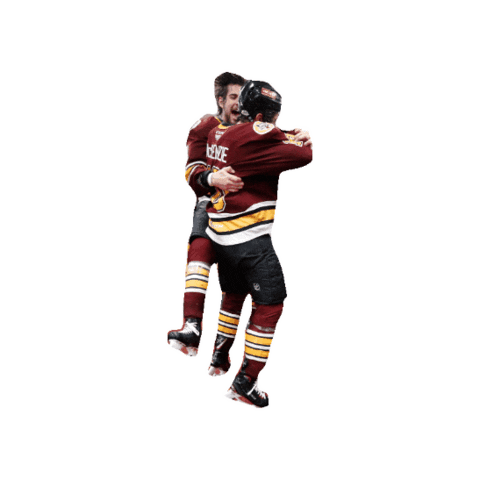 Chicago Wolves Sticker