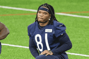 Chicago Bears Nfl GIF