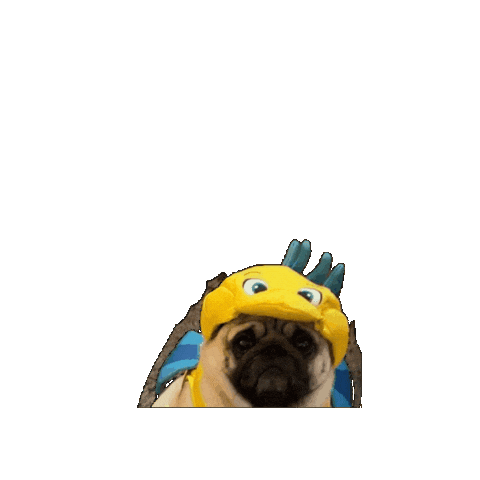 Halloween No Sticker