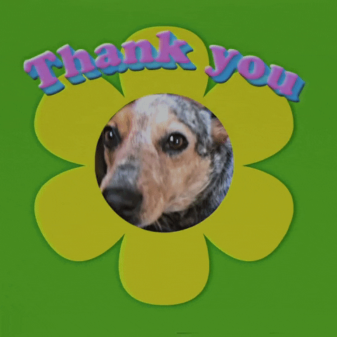 Dog Thank You GIF by giphystudios2022