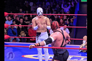 Wrestling Wrestler GIF