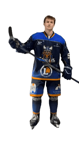 Celebration Goal Sticker by Hockey Club Châlonnais