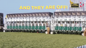 Horse Racing GIF by 1 Play Sports
