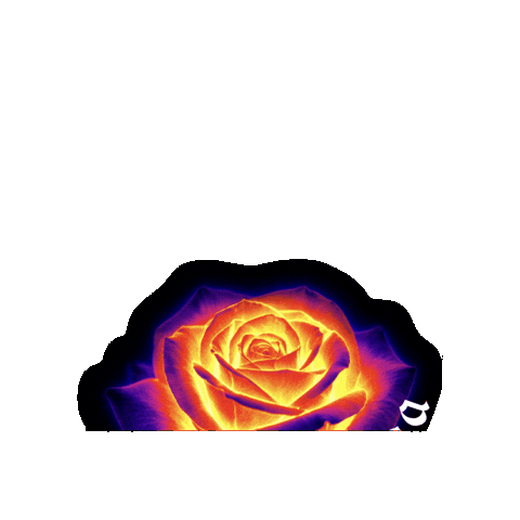 Anaheim Sticker by Honda Center