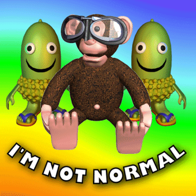 Monkey Im Not Normal GIF