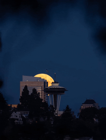 Full Moon GIF by Storyful