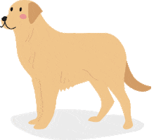 Dog Doggie Sticker by Barkibu