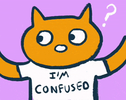 Illustrated gif. An orange cat wearing a shirt that says "I'm Confused" has its arms up as its eyes dart side to side and question marks pop up.