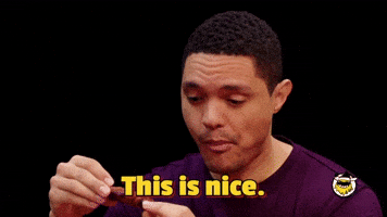 This Is Nice Trevor Noah GIF by First We Feast