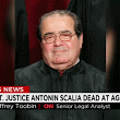 scalia