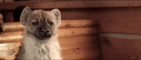 Montana's BBQ & Bar GIF