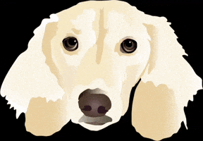 Gunner GIF by Joelle Designs