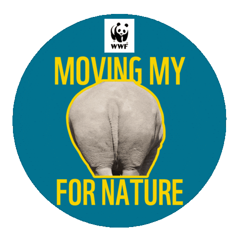 Wwf 20Kmbxl Sticker by WWF-Belgium