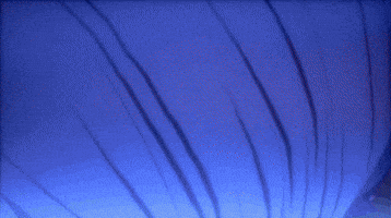Sad Dragon Ball GIF by BANDAI NAMCO Entertainment Sad Dragon Ball GIF by BANDAI NAMCO Entertainment