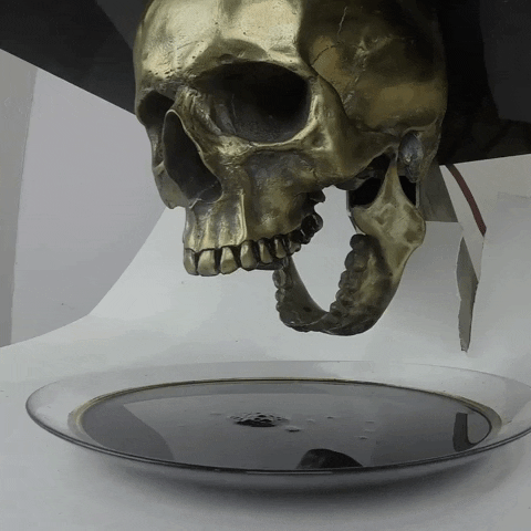 Killing Time Skull GIF by GASLAMPKILLER
