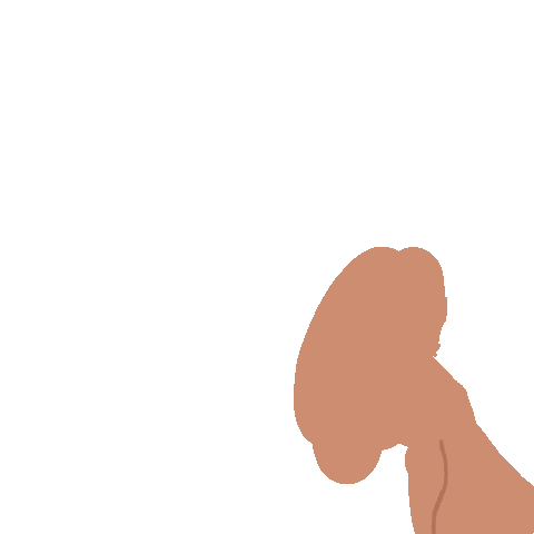 Animated Sticker