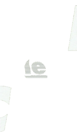 Nickleflic Sticker
