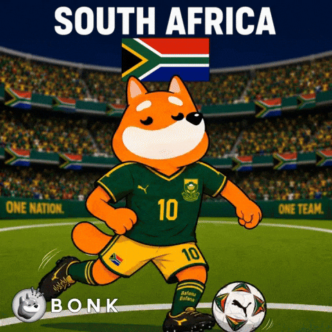 South Africa Crypto GIF by BONK