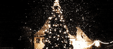 Video gif. A large Christmas tree is lit up outside, next to a house. Snow falls down around it and the snow glistens from the lights off of the tree. 