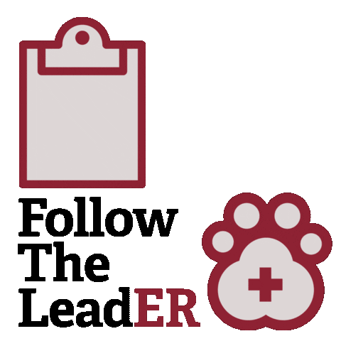 LeadERVET Sticker