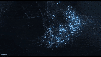 brain biology GIF by MIT 