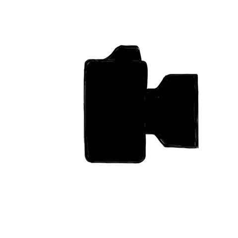 Flash GIF