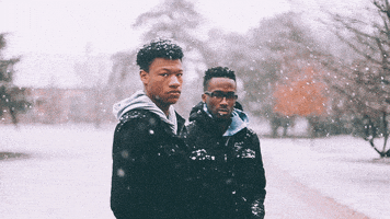 Black Snow Gifs Get The Best Gif On Giphy