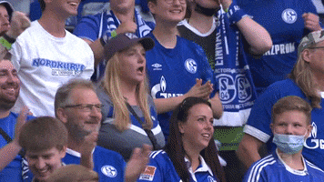 Veltins Arena Football GIF by FC Schalke 04