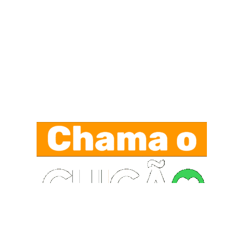 Chicao Sticker by chicaoviannaoficial