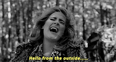 adele hello from the outside GIF