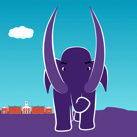 Mammoth GIF by Amherst College